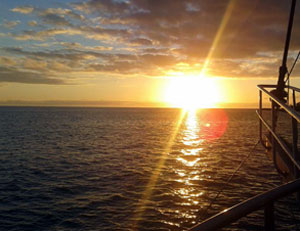 Haz Clic para ver más fotos