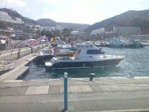 Haz Clic para ver más fotos