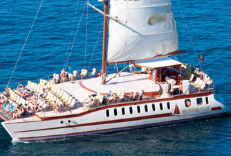 SuperCat Catamaran avistamiento de delfines y Ballenas